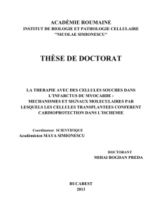 thèse de doctorat la therapie avec des cellules souches dans