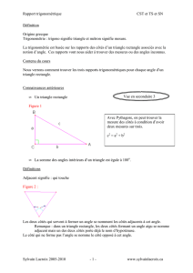 Rapport trigonométrique CST et TS et SN Sylvain Lacroix 2005