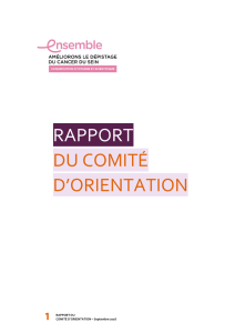 rapport du comité d`orientation - concertation