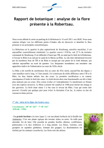 Rapport de botanique : analyse de la flore présente à la Robertsau.