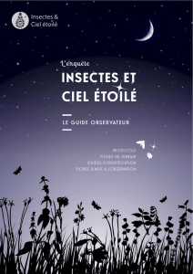 Guide observateur « Insectes et ciel étoilé