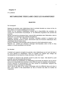 METABOLISME TISSULAIRE CHEZ LES MAMMIFERES