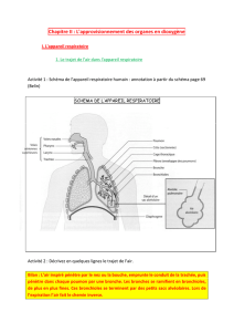 Chapitre II : L`approvisionnement des organes en dioxygène