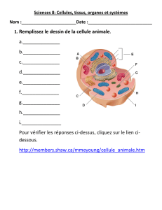 1. Remplissez le dessin de la cellule animale. a. b. c. d. e.______