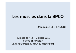 Les muscles dans la BPCO - delplanque