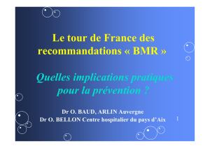 Le tour de France des recommandations « BMR - CClin Sud-Est