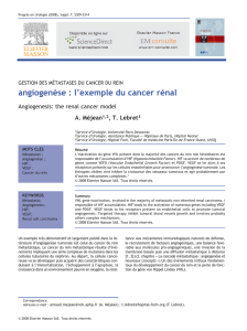 Angiogenèse : l`exemple du cancer rénal