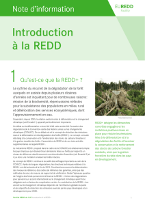 Introduction à la REDD+ - EU REDD Facility