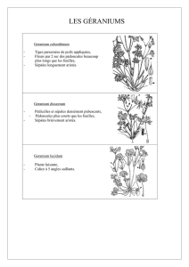 en PDF - Floraphile 45
