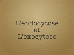 exocytose. - Hopewell