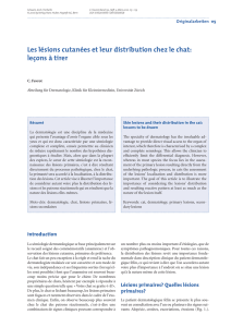 Les lésions cutanées et leur distribution chez le chat: leçons à tirer