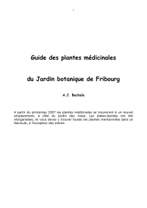 Guide des plantes médicinales du Jardin botanique de