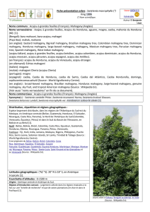 Swietenia macrophylla - Documents pour le développement durable