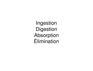 Ingestion Digestion Absorption Élimination