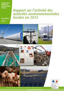 Rapport sur l`activité des autorités environnementales locales en 2013