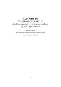 RAPPORT DE CRISTALLOGRAPHIE ´Etude de structures cristallines