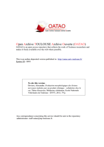 PDF ( Author`s version)