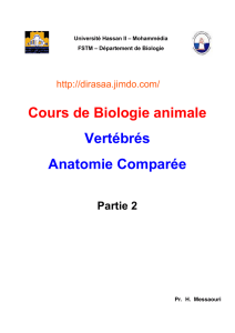 Cours de Biologie animale Vertébrés Anatomie Comparée Partie 2