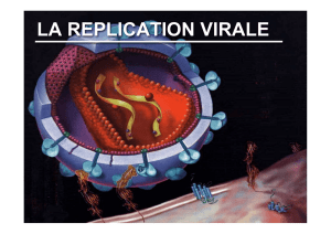 C2-Réplication virale 2e année 2017