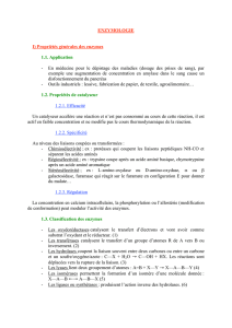 Les enzymes (cours complet)