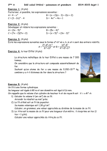 DS2 calcul littéral – puissances et grandeurs 2014