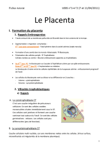 Le Placenta - carabinsnicois.fr