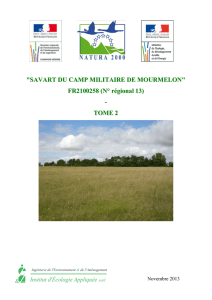 "SAVART DU CAMP MILITAIRE DE MOURMELON" FR2100258 (N
