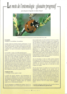 Les mots de l`entomologie glossaire progressif