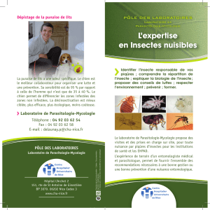 L`expertise en Insectes nuisibles