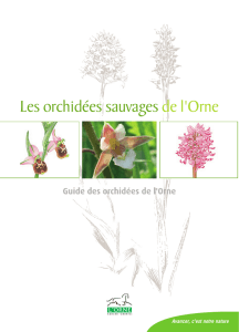 Les orchidées sauvages de l`Orne - Conseil départemental de l`Orne