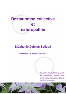 pdf Mémoire de Stéphanie Delmas