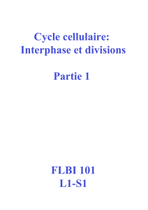 FLBI 101 L1-S1 Cycle cellulaire: Interphase et divisions Partie 1