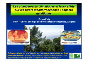 Les changements climatiques et leurs effets sur les forêts
