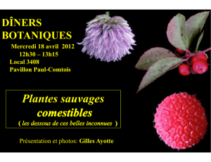 Plantes sauvages - Université Laval