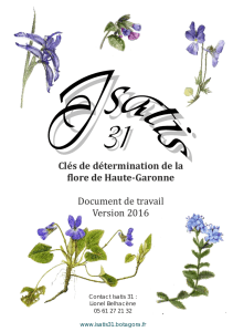 Télécharger le document - Isatis 31