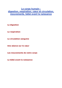 Le corps humain : digestion, respiration, cœur et circulation