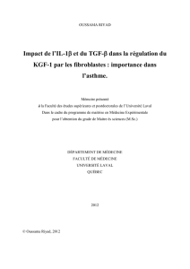Impact de l`IL-1   et du TGF-   dans la régulation du