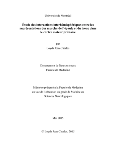Jean-Charles_Loyda_2015_memoire