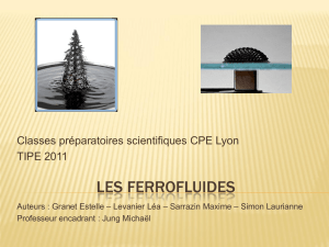 Les ferrofluides
