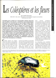 Les Coléoptères et les fleurs I. / Insectes n° 101