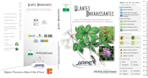 Guide des plantes envahissantes