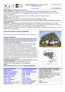 Fiche présentation arbre : Parkia biglobosa