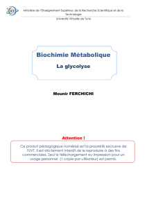 Biochimie Métabolique - Université Virtuelle de Tunis