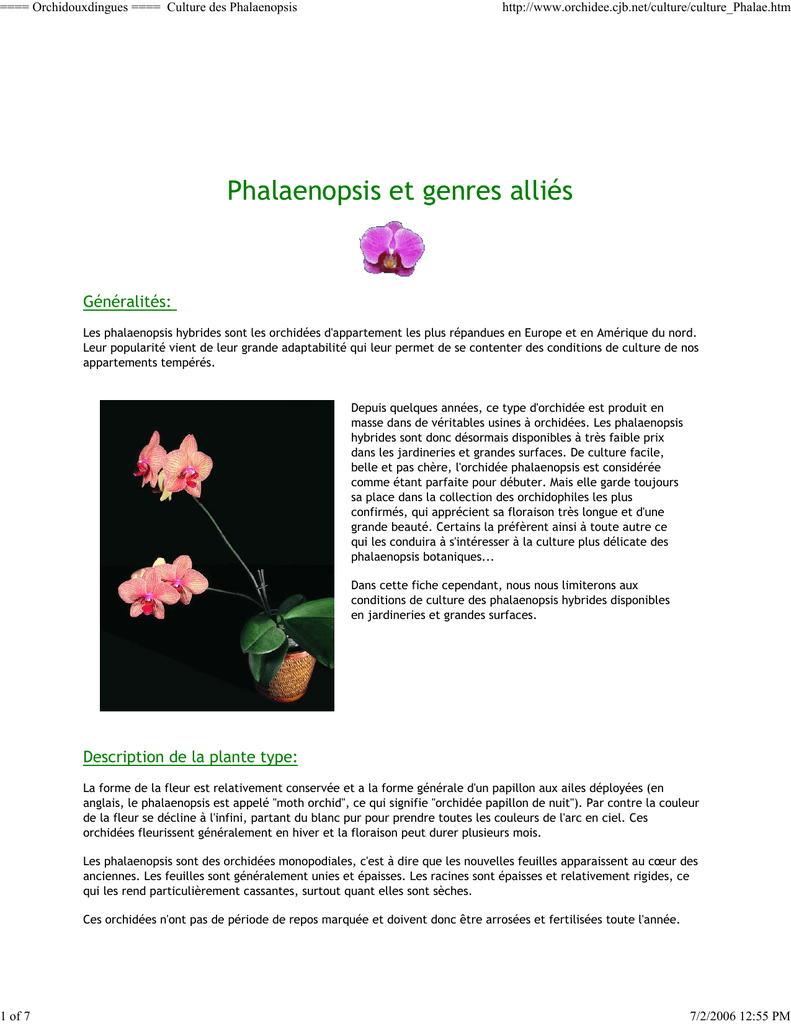 Orchidouxdingues ====€ Culture des Phalaenopsis