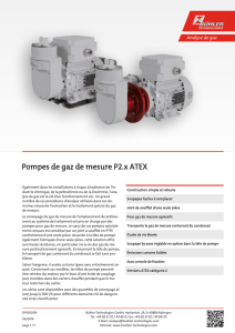 DF420009 P2.x ATEX - Bühler Technologies GmbH