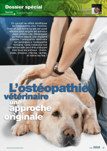 Article Animal Santé Bien-ëtre