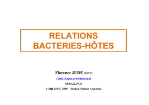 Présentation Relations Bactéries Hôtes