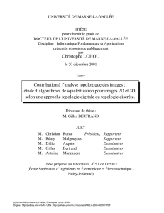 Contribution à l`analyse topologique des images : étude d