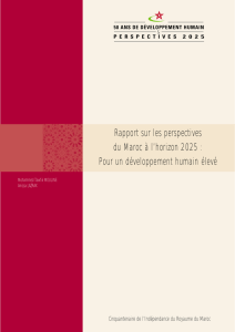 Rapport sur les perspectives du Maroc à l`horizon 2025 : Pour un