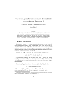 Une étude géométrique des classes de similitude de matrices en